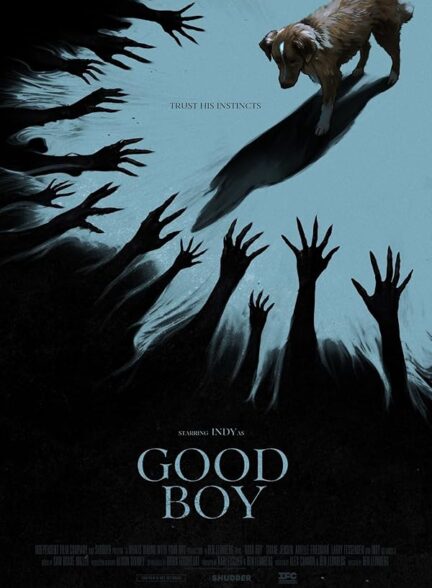 دانلود فیلم (پسر خوب)Good Boy