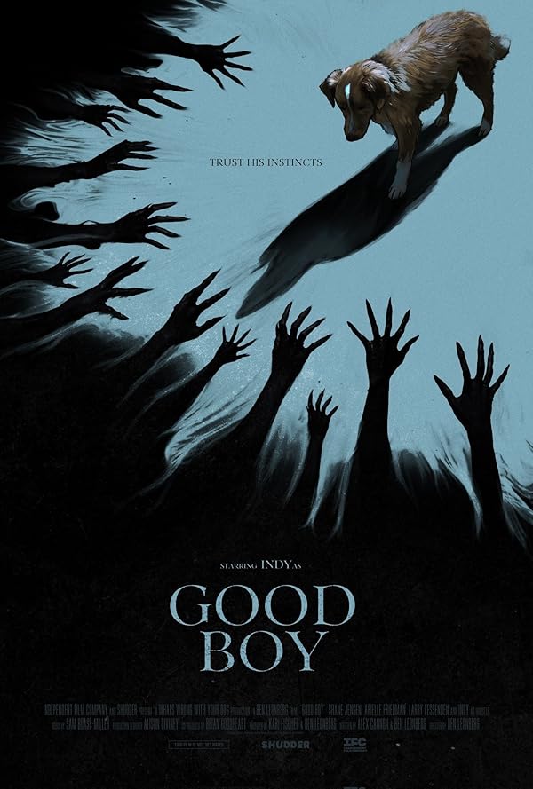 دانلود فیلم (پسر خوب)Good Boy